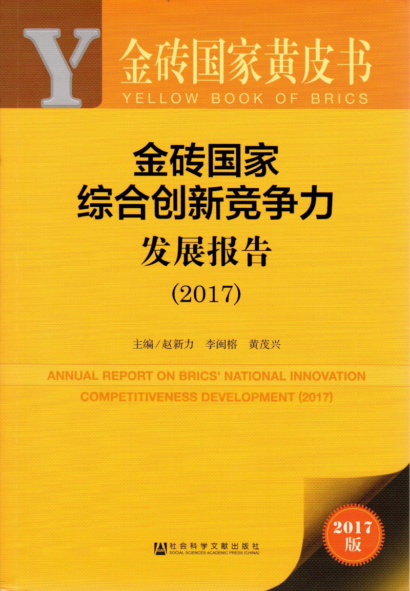 快乐日逼啊啊啊金砖国家综合创新竞争力发展报告（2017）